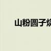 山粉圆子烧肉是哪里的特产（山粉圆）
