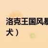 洛克王国风暴战犬技能搭配（洛克王国风暴战犬）