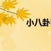 小八卦罗晋唐嫣（罗晋唐嫣吧）