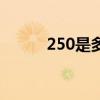 250是多少码男（250是多少码）