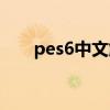 pes6中文解说补丁（pes6最新补丁）