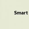Smart Girls Don't Talk mp4