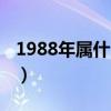 1988年属什么生肖的命（1988年属什么生肖）