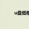u盘低格是什么意思（u盘低格）