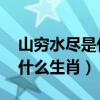 山穷水尽是什么生肖 百度网盘（山穷水尽是什么生肖）