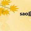 sao启动器（sao启动菜单）