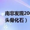 南非发现200万年前...（南非发现200万年前头骨化石）