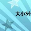 大小S什么星座（大S什么星座）