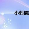 小刺猬歌词ykey(小刺猬歌词) 小刺猬歌词ykey(小刺猬歌词)