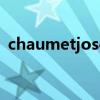 chaumetjosephine皇后系列白鹭镶钻项链