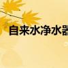 自来水净水器能直接喝吗（自来水净水器）