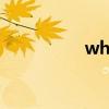 what can i do for U?