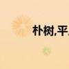 朴树,平凡之路（平凡的路 朴树）