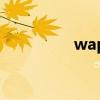 wap排行（好的wap网）