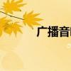 广播音响怎么接线（广播音响）
