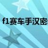 f1赛车手汉密尔顿厉害吗（汉密尔顿f1冠军）