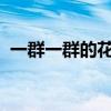 一群一群的花在绿草上跳舞狂欢有的干什么