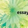 essay是什么文体（essays）