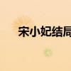 宋小妃结局（宋小女 这个结局也挺好）