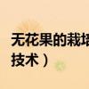 无花果的栽培技术和植物管理(无花果的栽培技术) 无花果的栽培技术和植物管理(无花果的栽培技术)