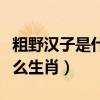 粗野汉子是什么生肖粗壮的粗（粗野汉子是什么生肖）