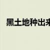 黑土地种出来东西（黑土地种什么最赚钱）
