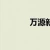 万源新绿怎么样（万源新绿）
