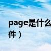 page是什么格式的文件（pagefile是什么文件）