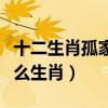 十二生肖孤家寡人是什么生肖（孤家寡人是什么生肖）