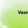 Vase的音标（vase的音标）