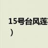 15号台风莲花生成人星（15号台风莲花生成）