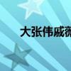 大张伟戚薇的综艺节目（大张伟戚薇）