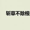 斩草不除根打一字（斩草不除根打一字）