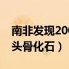 南非发现200万年前...（南非发现200万年前头骨化石）