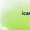 icanwaitforever张雨生