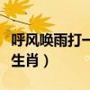 呼风唤雨打一个正确生肖（呼风唤雨打一最佳生肖）