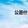 公是什么部首（公是什么结构）