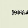 张申碚,赵晓梅的代表作（张申碚）