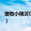宠物小精灵DP15集下载（宠物小精灵dp182）