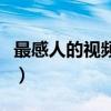 最感人的视频看哭了很多人（最感人的一句话）