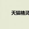 天猫精灵cc10电池版和普通版区别