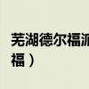 芜湖德尔福派克电气系统有限公司（芜湖德尔福）