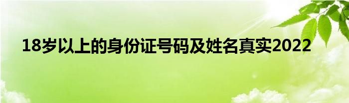 18岁以上的身份证号码及姓名真实2022