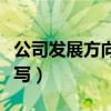 公司发展方向怎么写模板（公司发展方向怎么写）