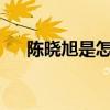 陈晓旭是怎么走的?（陈晓旭怎么走的）