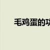 毛鸡蛋的功效与作用及禁忌（毛鸡蛋）