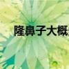 隆鼻子大概多少费用(隆鼻大概多少钱) 隆鼻子大概多少费用(隆鼻大概多少钱)