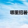 哪里招暑假工学生（哪里招暑假工）