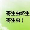 寄生虫终生生活在寄主体表或体内,靠获取（寄生虫）