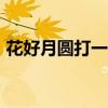 花好月圆打一数字360（花好月圆打一数字）